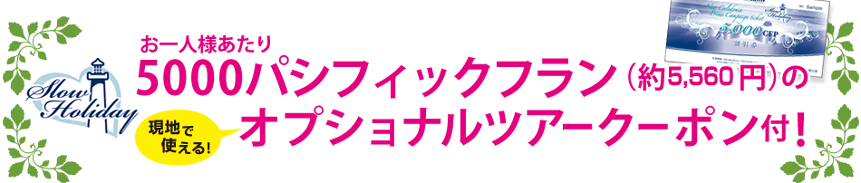お1人様あたり5000パシフィックフラン(約6000円)のオプショナルツアークーポン付！