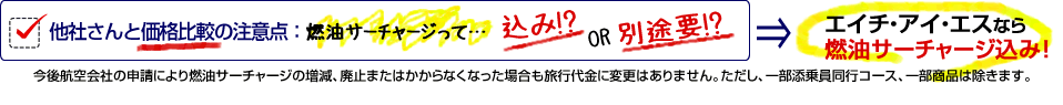 HISなら燃油サーチャージ込み価格!