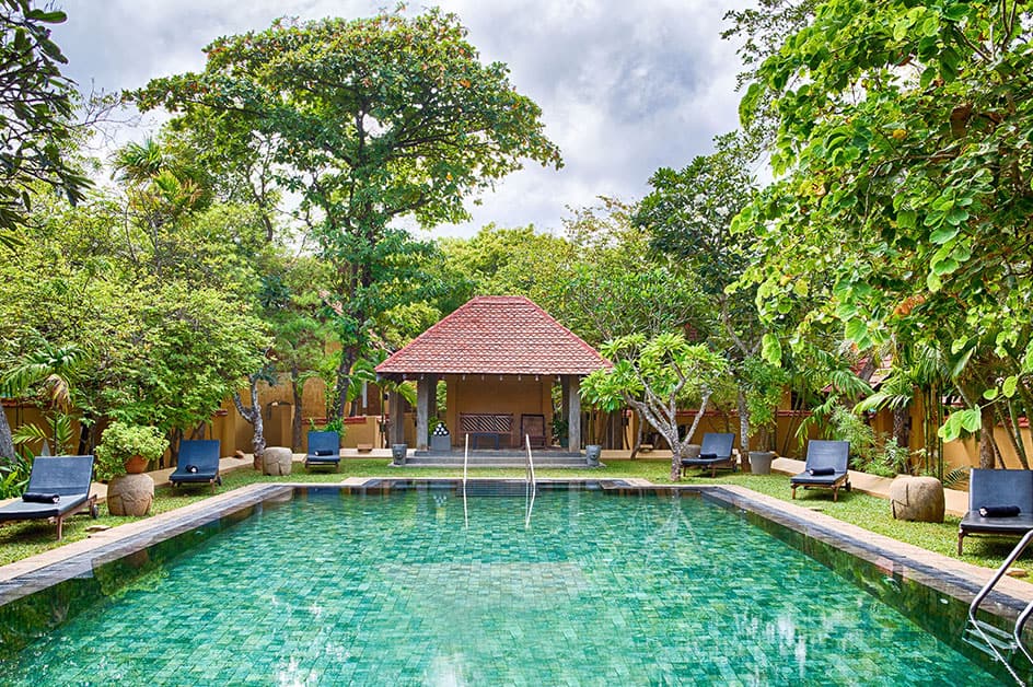 ネゴンボ 商品(イメージ)