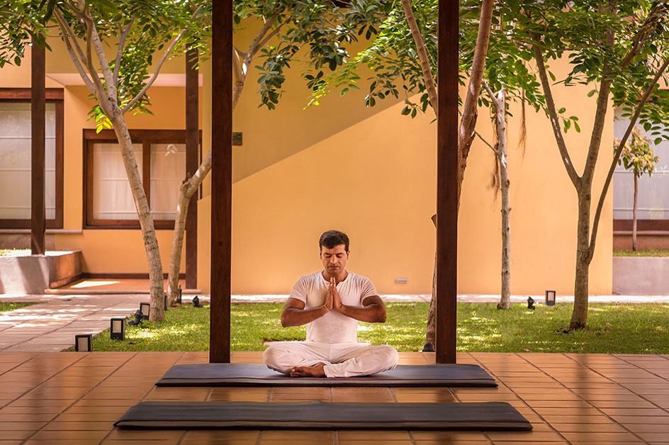 ネゴンボ 商品(イメージ)