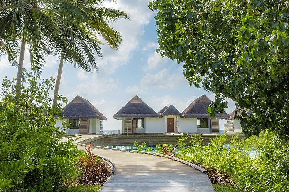 モルディブアイランド 商品(イメージ)