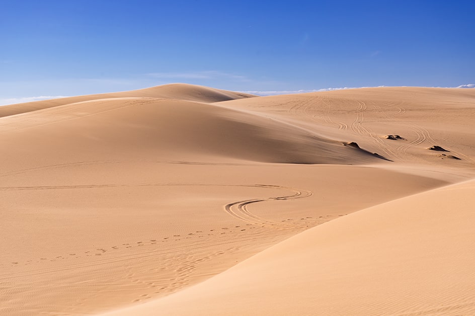 ホーチミン 商品(イメージ)