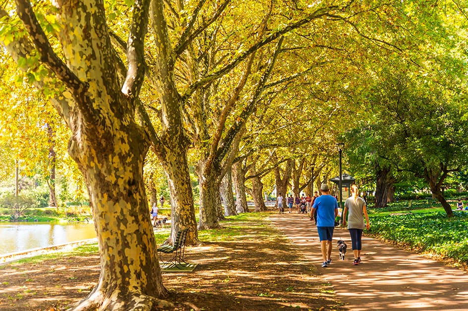 パース 商品(イメージ)