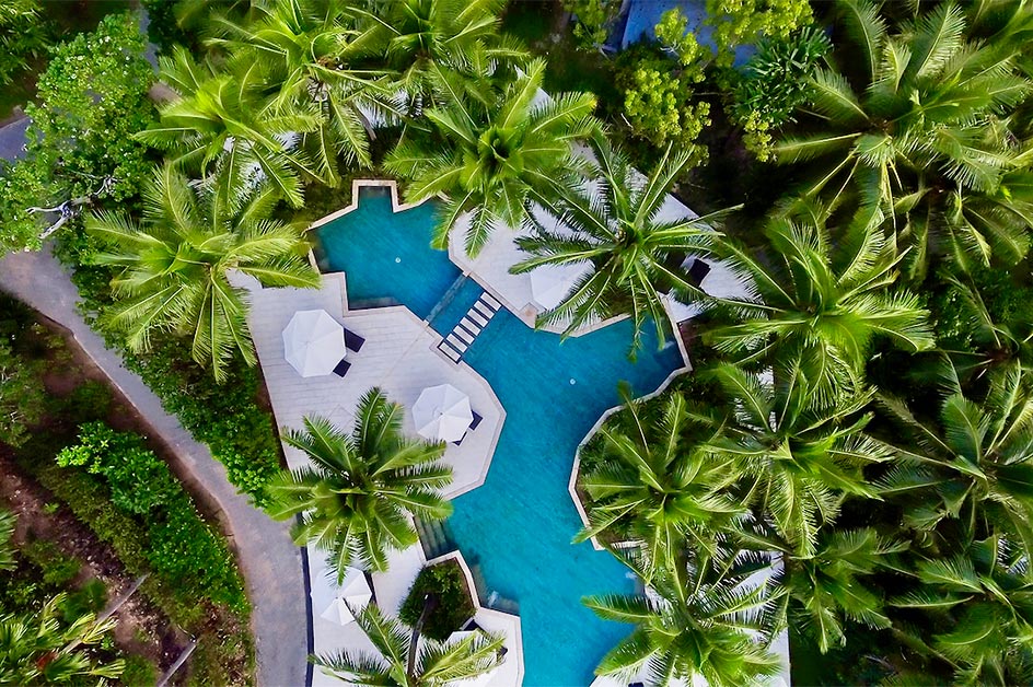 フィジー諸島 商品(イメージ)