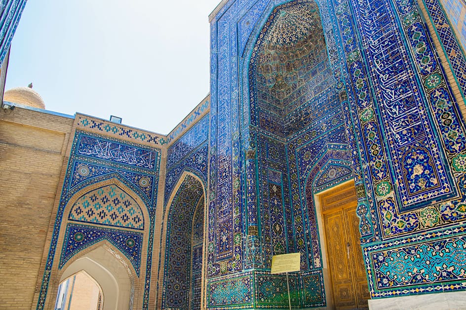 タシケント 商品(イメージ)