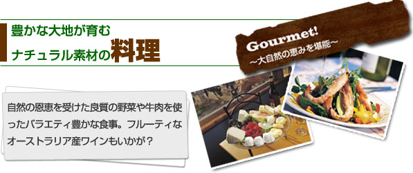 Lȑnރi`fނ̗@R̉b󂯂ǎ̖؂⋍goGeBLȐHBt[eBȃI[XgAYCH