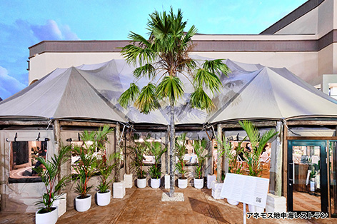 LeaLeaGuam�̌����� ���X�g�����u�A�l���X�v�i�C���[�W�j