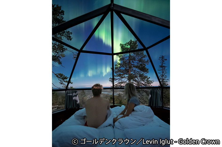 �S�[���f���N���E�� �K���X�C�O���[�i�C���[�W�j