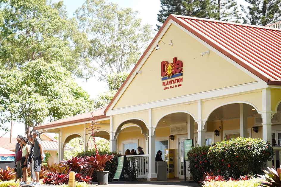 �h�[���v�����e�[�V�����i�C���[�W�j