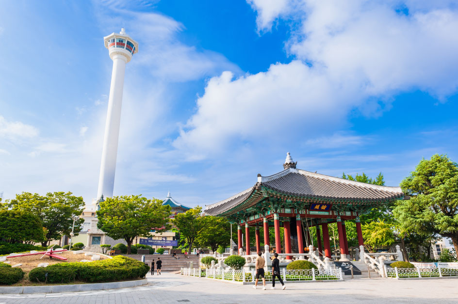 �����R�����i�C���[�W�j