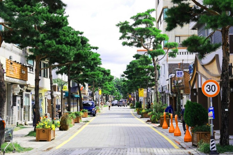 �s�{���i�C���[�W�j