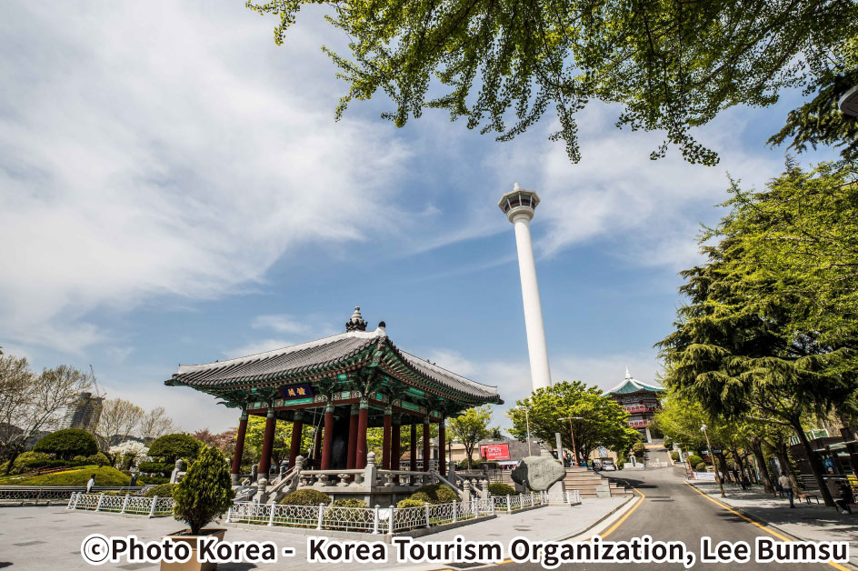 龍頭山公園（イメージ）