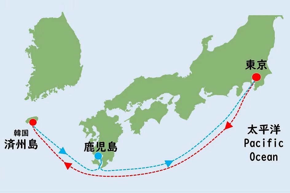 クルーズ旅行・ツアー｜2026年4月29日出発 東京港着＜往復新幹線