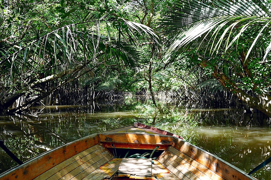 �o���_���X���u�K���� ���i�i�C���[�W�j