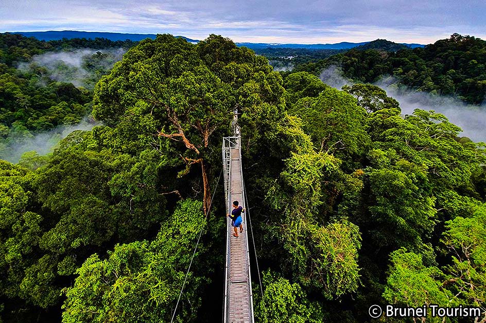 �o���_���X���u�K���� ���i�i�C���[�W�j