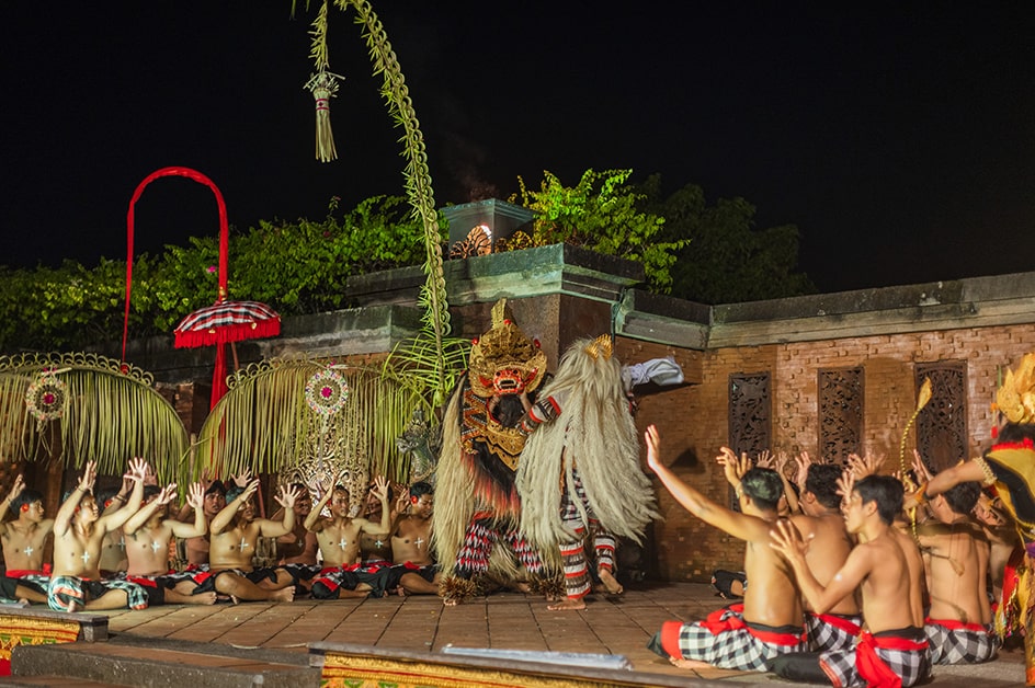 �f���p�T�[���i�o�����j ���i�i�C���[�W�j