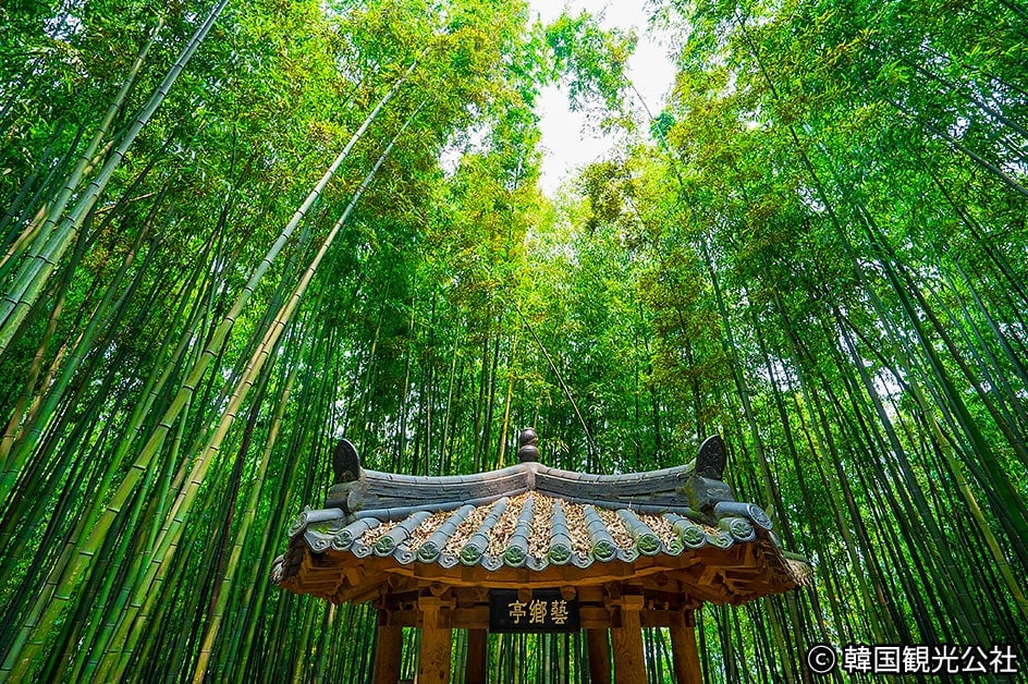 �\�E�� ���i�i�C���[�W�j