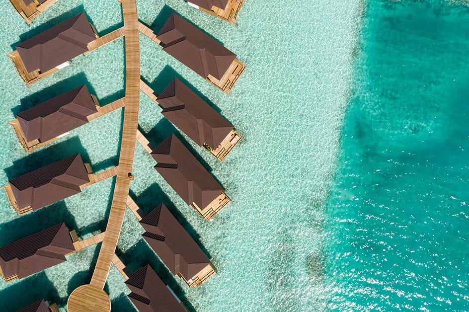 �����f�B�u�A�C�����h ���i�i�C���[�W�j