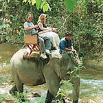 象乗り体験(イメージ)