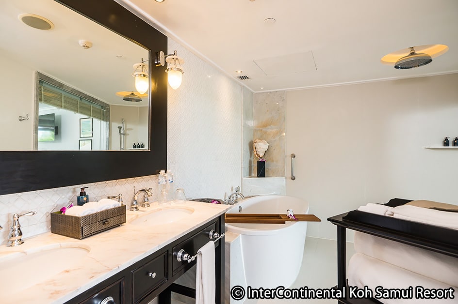 �T���C�i���j ���i�i�C���[�W�j