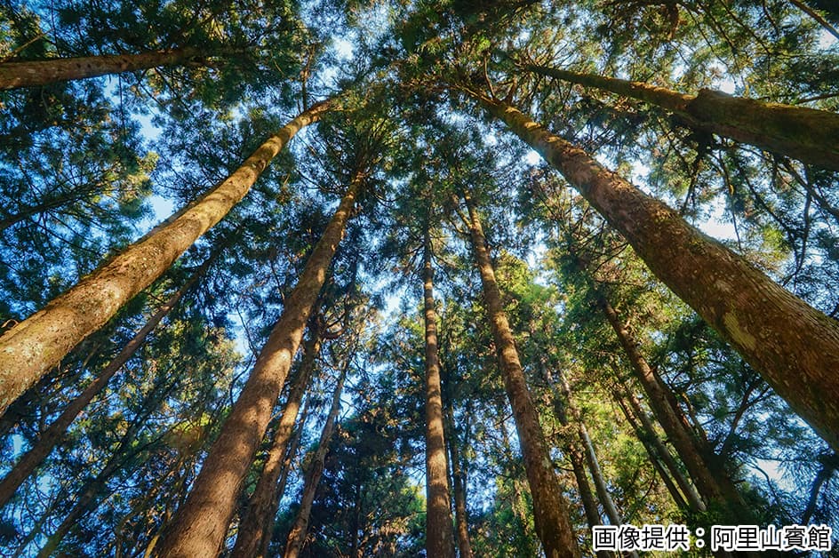 �^�C�y�C(��k) ���i�i�C���[�W�j