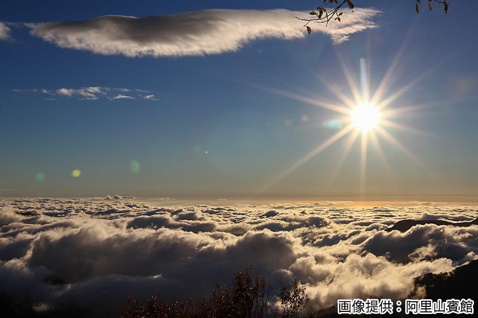 �^�C�y�C(��k) ���i�i�C���[�W�j