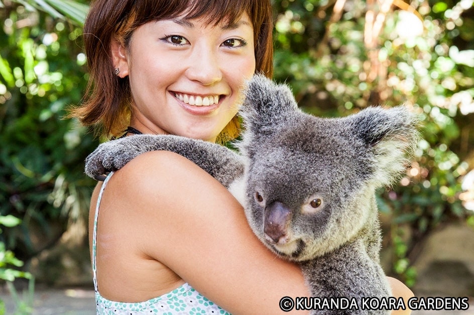 コアラを抱っこして記念写真（イメージ）