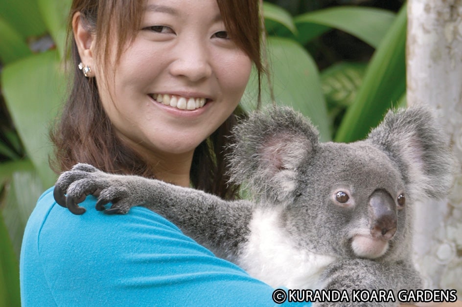 コアラ抱っこ写真（イメージ）