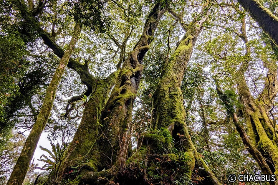 �q���g���T�[�t�@�[�Y�p���_�C�X�z�e�������W�f���X�i�Q�X�g���[���j���V�����[�݂̂̂������ɂȂ�܂��B���x�b�h�𗘗p��������3��1���s��