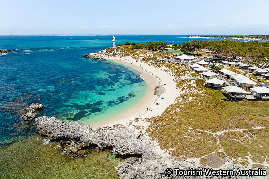 �N���E�� �v�����i�[�h �p�[�X�i�X�[�y���A���[���j