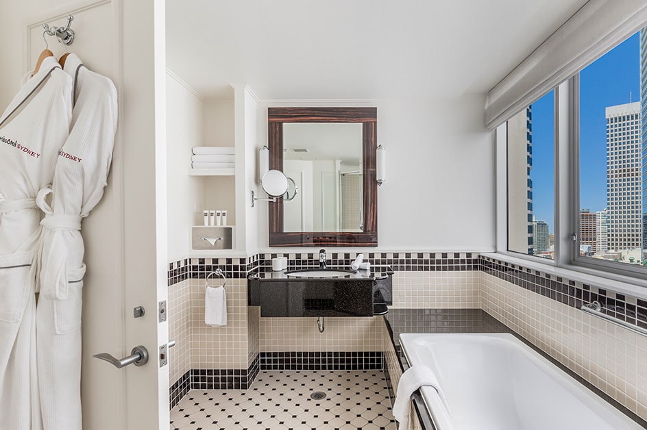 �V�h�j�[ ���i�i�C���[�W�j