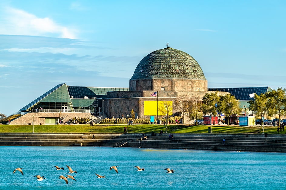 �V�J�S ���i�i�C���[�W�j