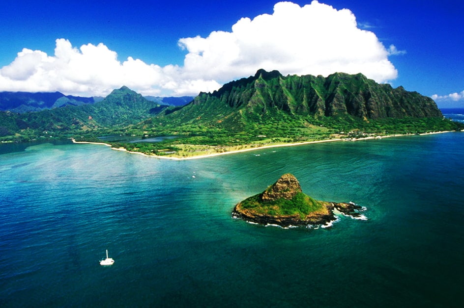 �V�F���g�� �v�����Z�X �J�C�E���j�i�����w��Ȃ�/�x�b�h2��̂������j��3��1���s��