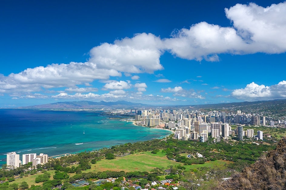 �z�m�����i�I�A�t���j ���i�i�C���[�W�j