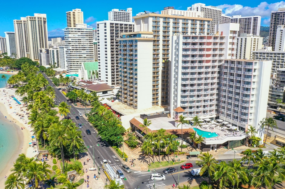 �z�m�����i�I�A�t���j ���i�i�C���[�W�j