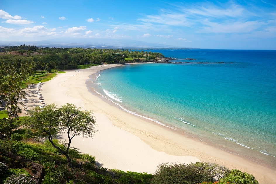 �R�i�i�n���C���j ���i�i�C���[�W�j