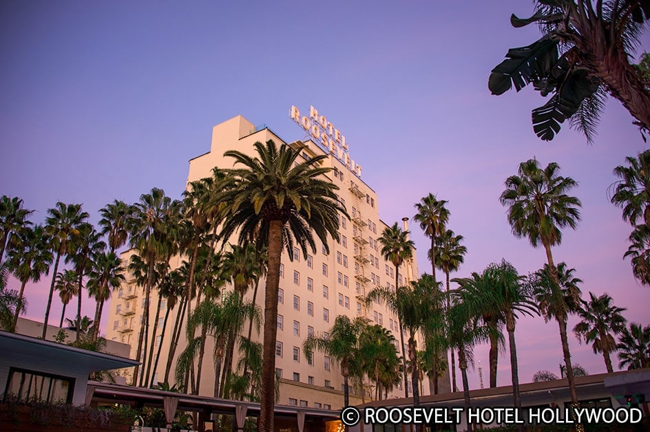 ���T���[���X ���i�i�C���[�W�j