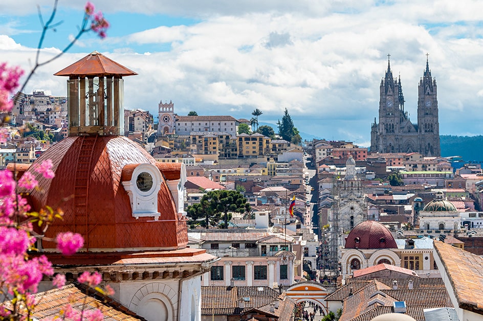 �L�g ���i�i�C���[�W�j