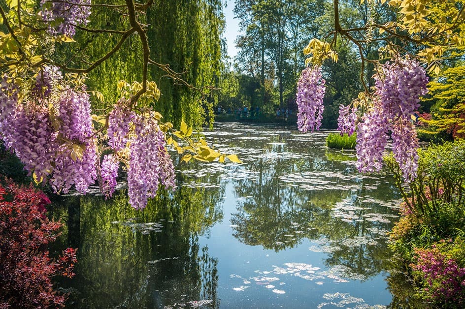 �W���F���j�[�i�C���[�W�j