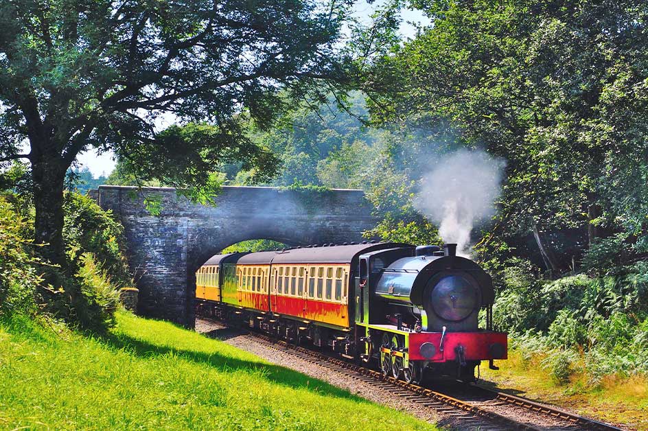 �G�f�B���o�� ���i�i�C���[�W�j