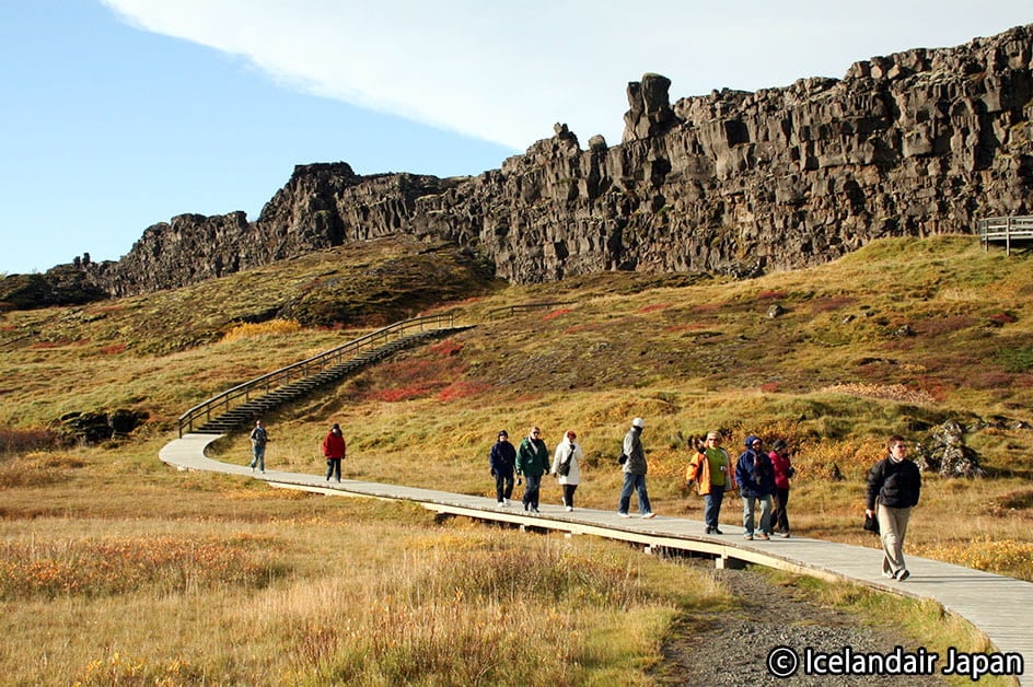 �y���E��Y�z�V���O���F�g������������