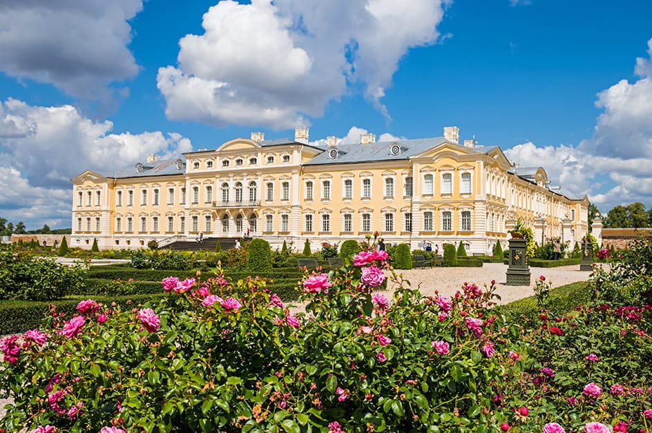 �����_�[���{�a�̃��[�Y�K�[�f���i�C���[�W�j