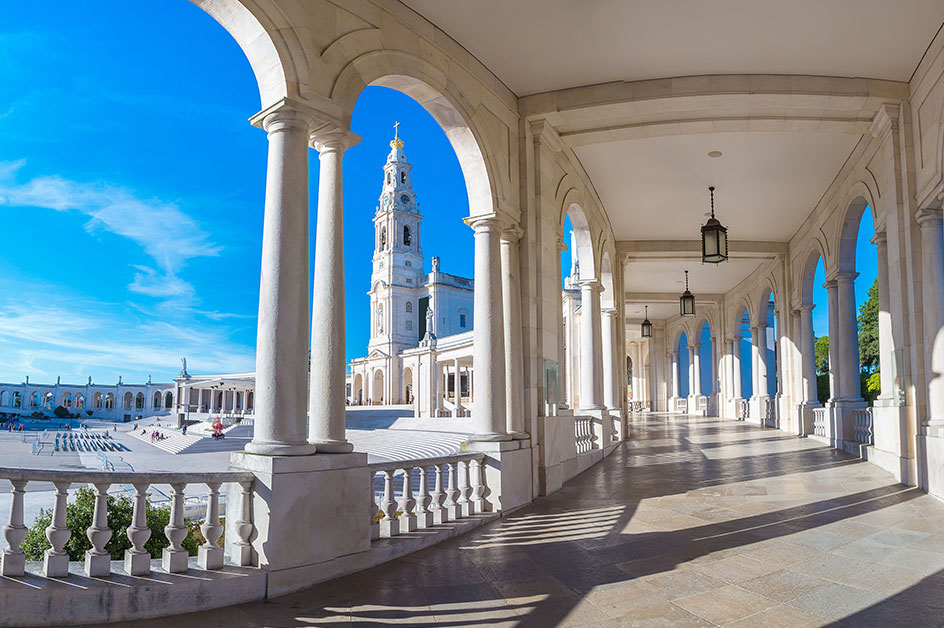 ����t�@�e�B�}����