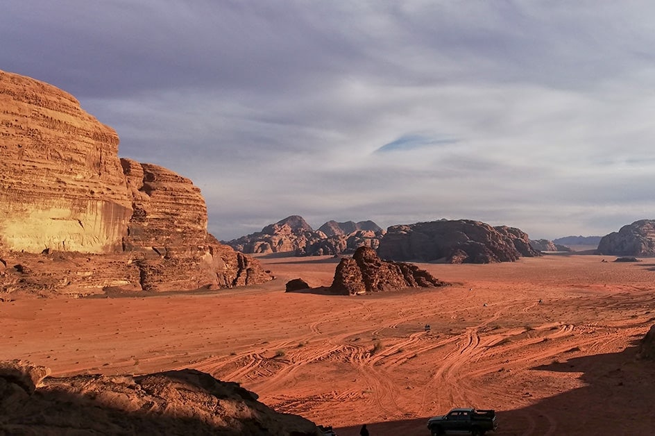 �A���}�� ���i�i�C���[�W�j