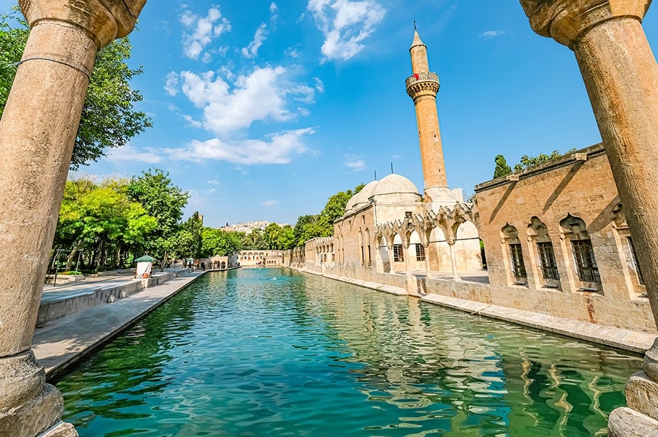 �V�������E���t�@�i���Ȃ鋛�̒r�j