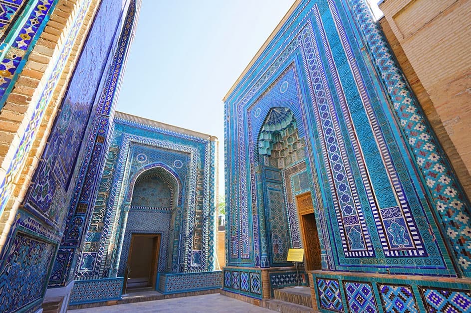 �V���[�q�Y�B���_�_�Q�i�C���[�W�j