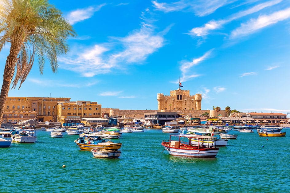 �C�X�^���u�[�� ���i�i�C���[�W�j