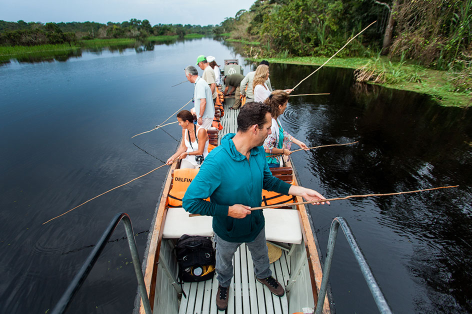 �s���j�A�ނ�i�C���[�W�j