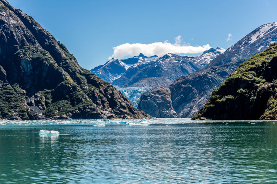 �A���X�J�N���[�Y �X�͂̐�i