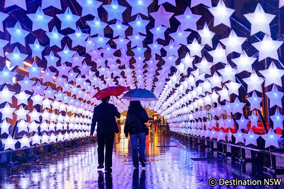 �V�h�j�[ ���i�i�C���[�W�j